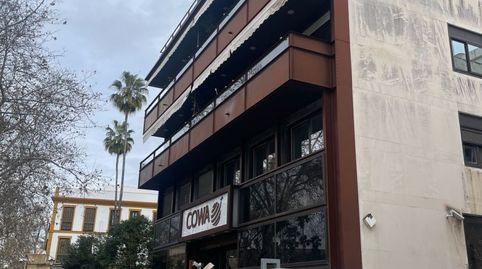 Foto 2 von Büro zur Miete in Avenida Avenida de la Borbolla, El Porvenir, Sevilla Capital