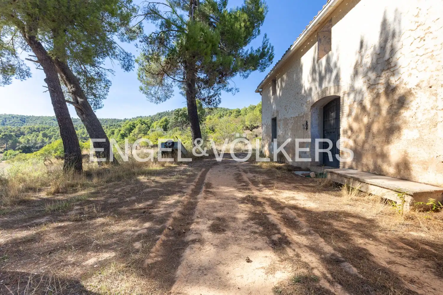 Terrain rustique à vendre à Requena, imagen 29