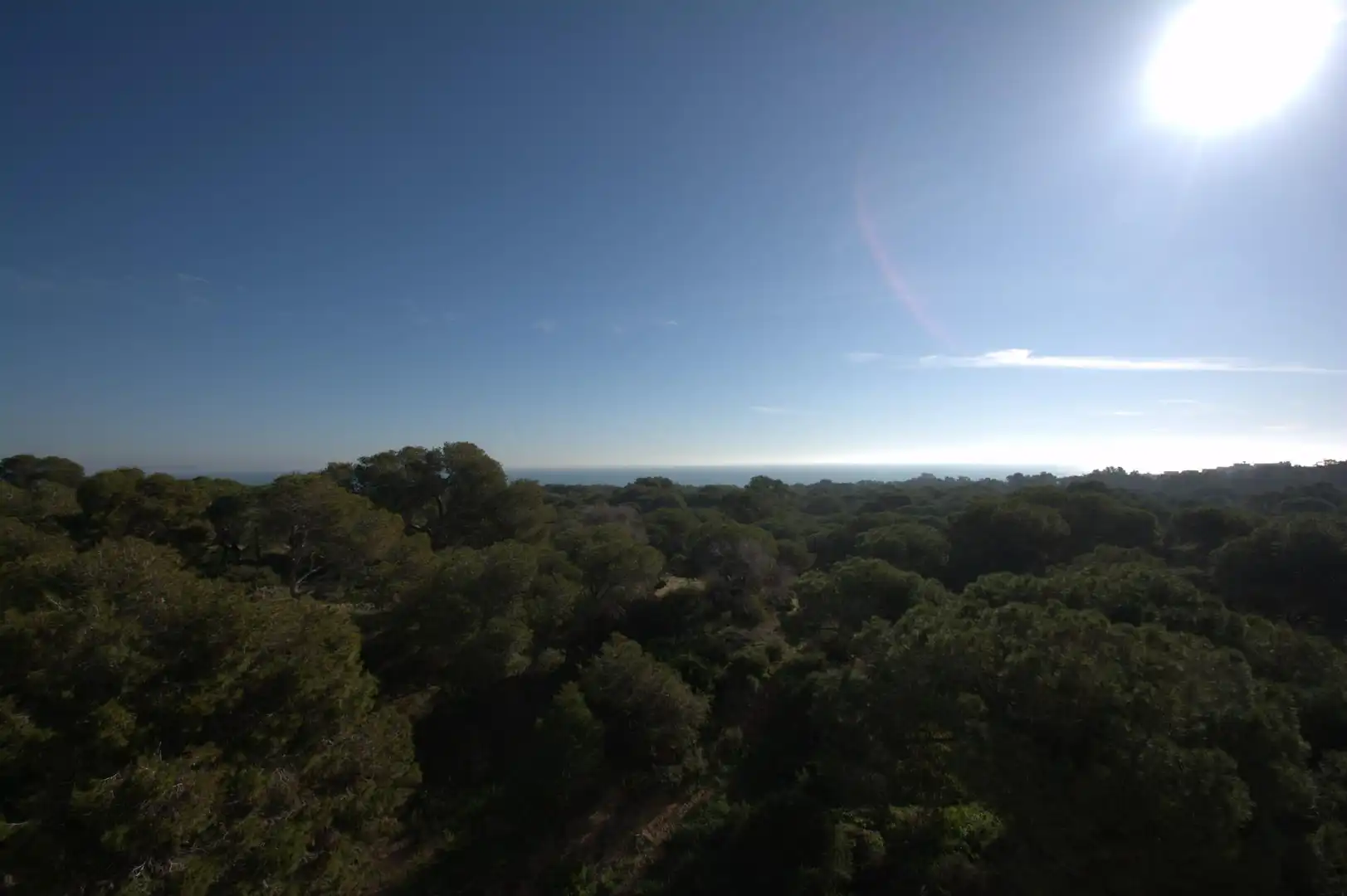 Jardí de Planta baixa en venda en Guardamar del Segura amb Terrassa i Piscina comunitària