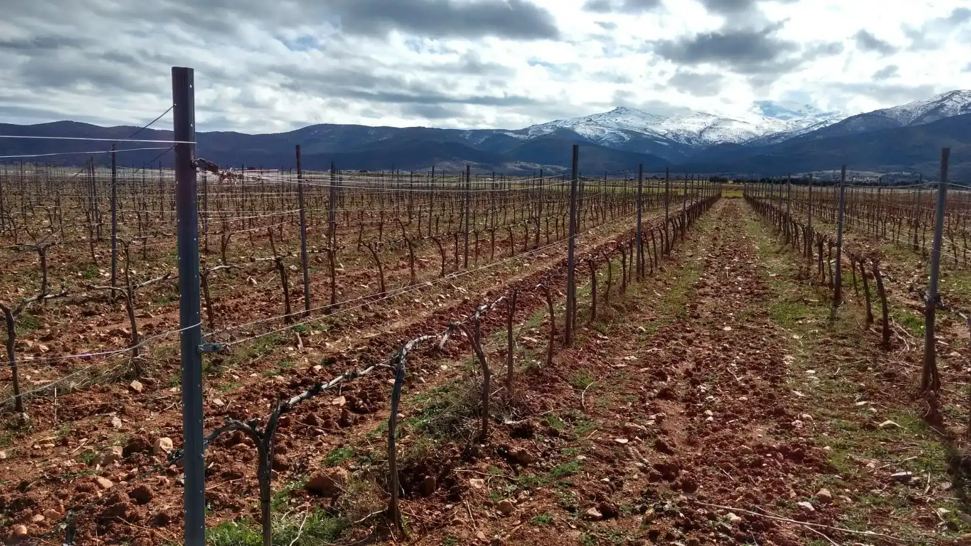 Terreno en venta en Cortes y Graena