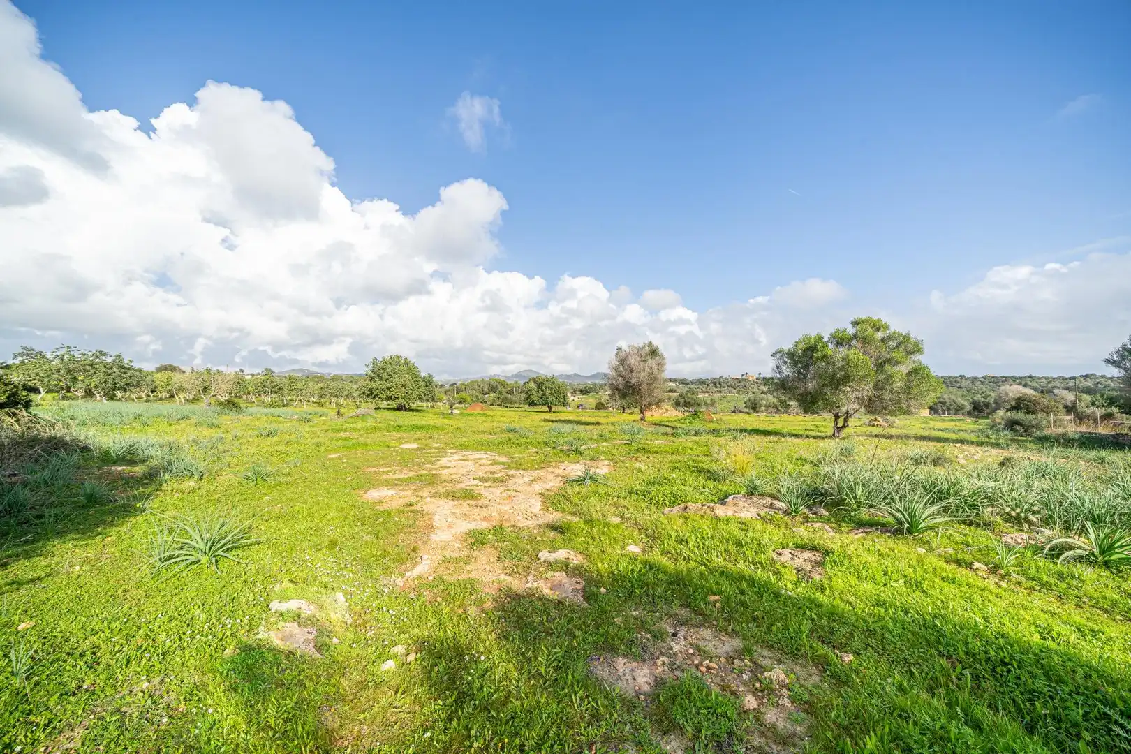 Rural land for sale in Sant Llorenç des Cardassar, imagen 12