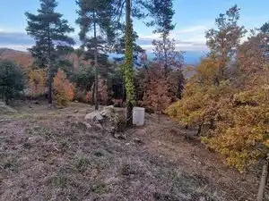 Residential land for sale in Carrer de l'Estany 408, imagen 3