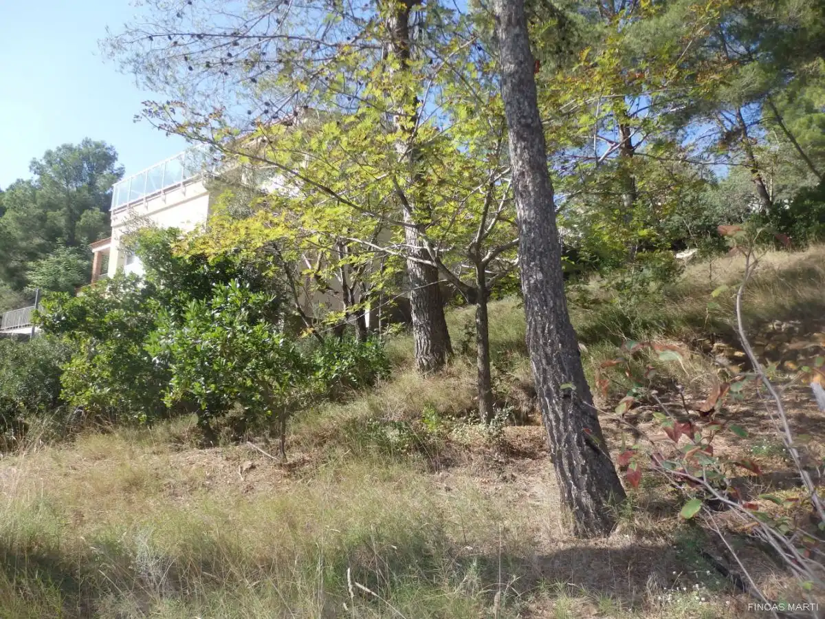 Terreno residenziale in vendita a Riudecanyes, imagen 12