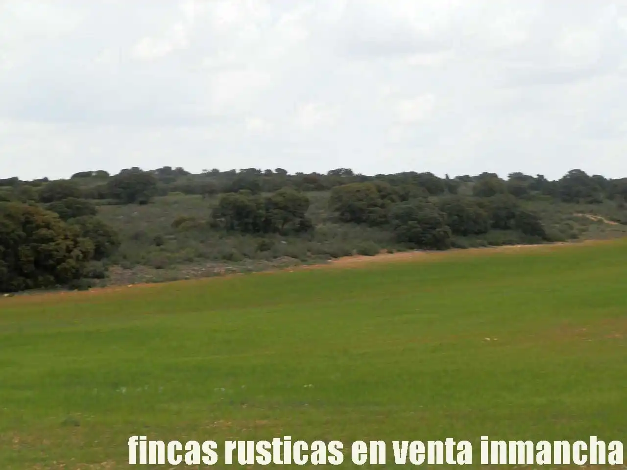 Terreno rustico in vendita a Ruidera, imagen 3