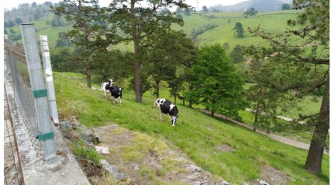 Finca ganadera en Asturias, imatge 3