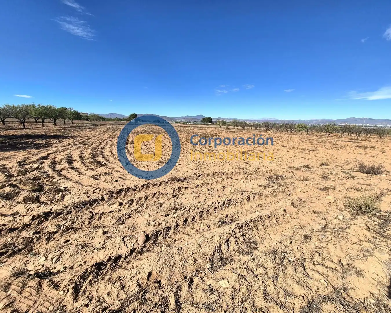 Terreny residencial en venda a Pedanías Sur, imagen 6