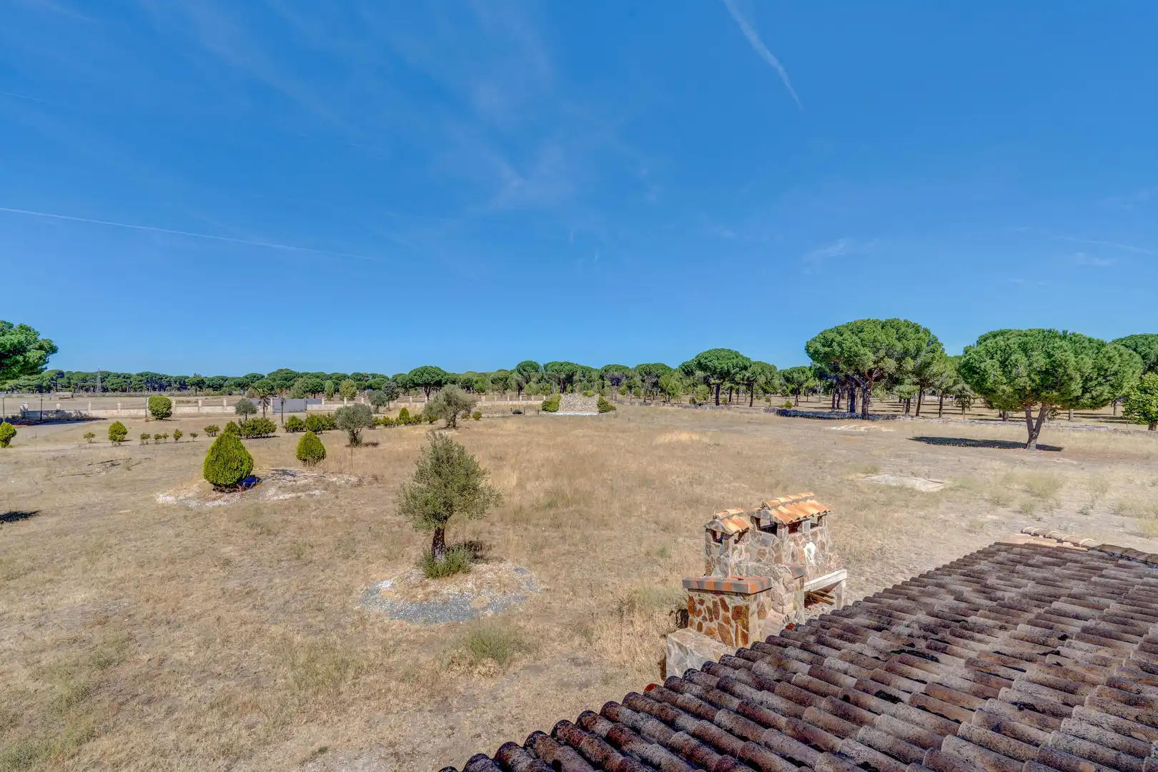Jardín de Casa o chalet en venta en Valdestillas, Valladolid