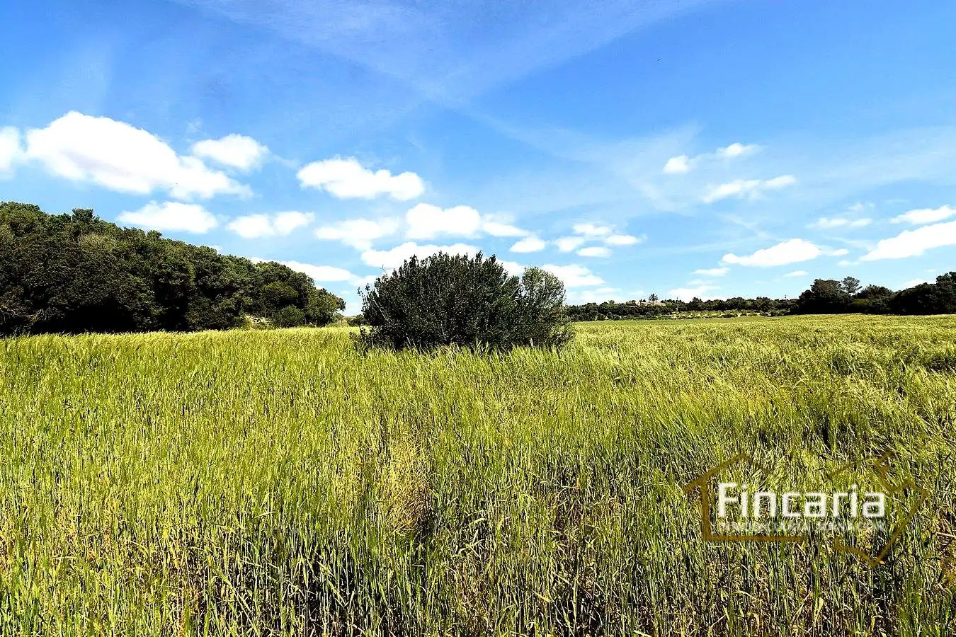 Lands and plots for sale in Ma-5120, imagen 14