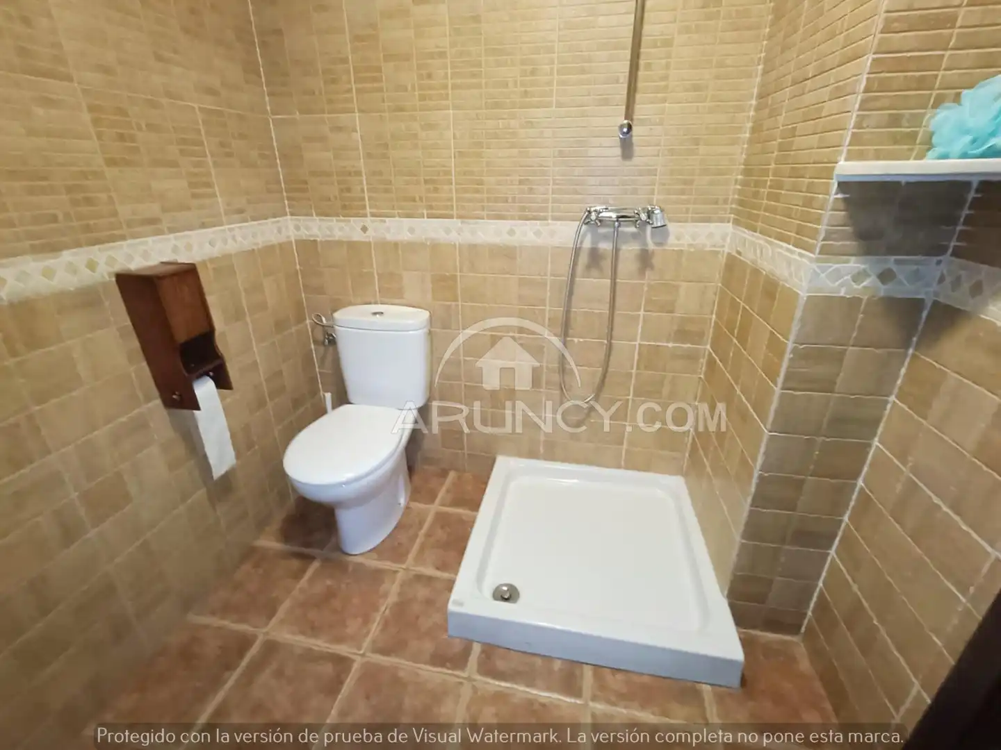 Casa o chalet en venta en Oromana