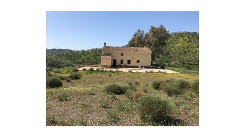 FINCA CON CASA REFORMADA Y 100.000 m2 de terreno, imatge 5
