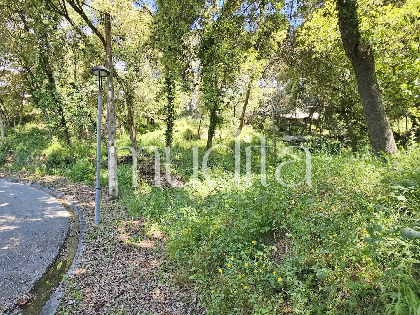 Residential land for sale in Sant Pere de Vilamajor, imagen 6