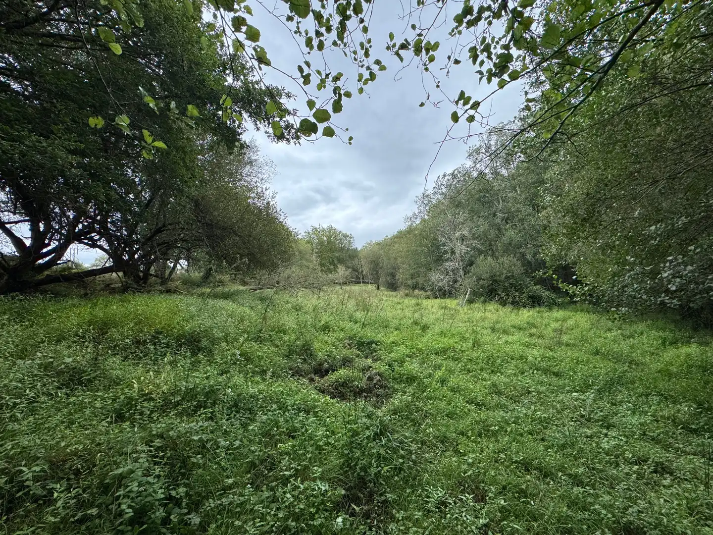 Land for sale in Boborás