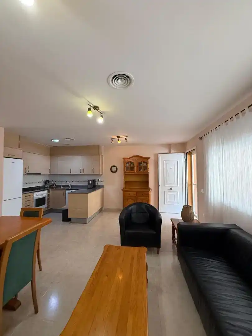 Sala d'estar de Pis en venda en Sant Jaume d'Enveja amb Aire condicionat