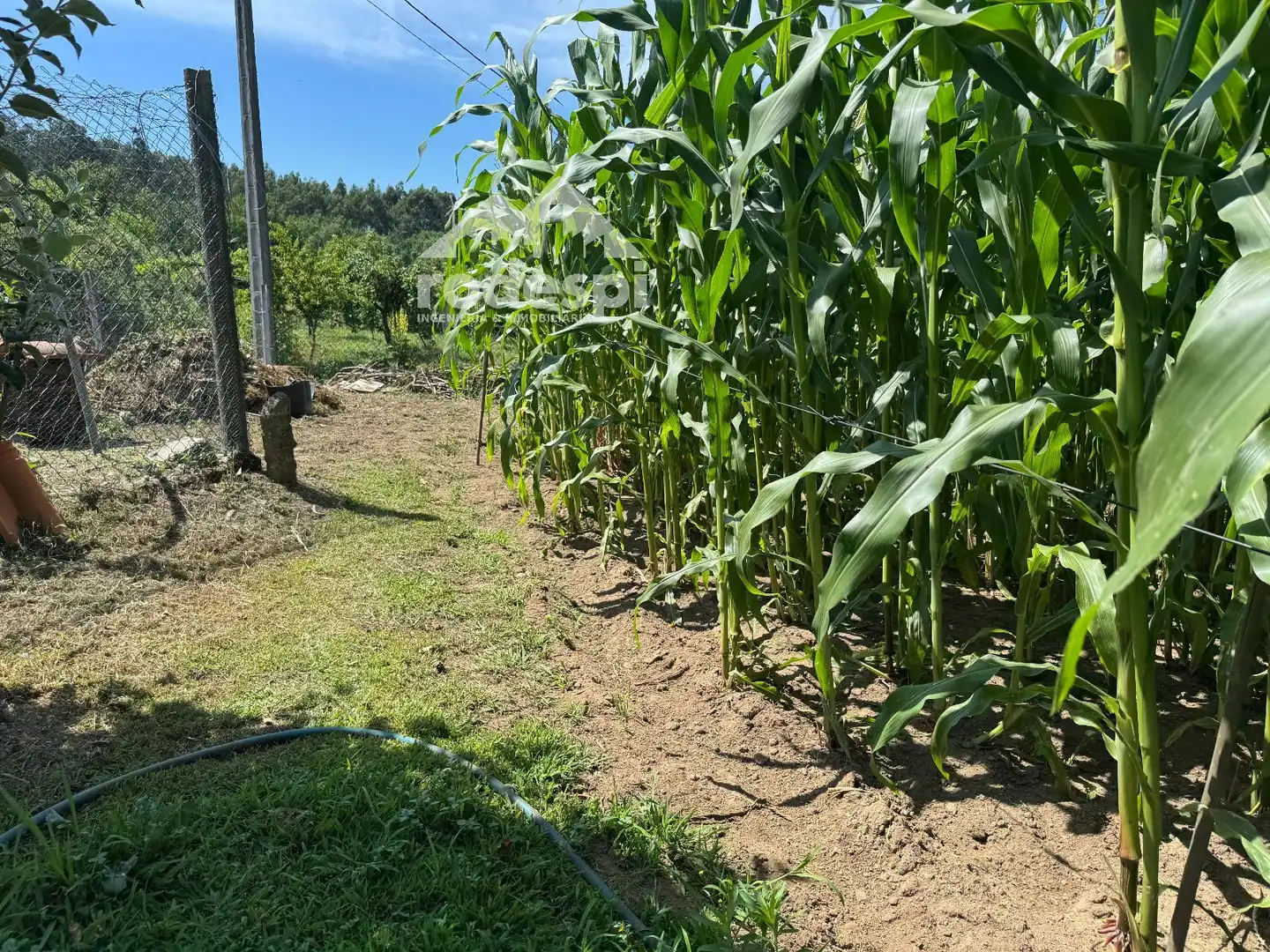 Jardí de Casa o xalet en venda en Arbo amb Moblat