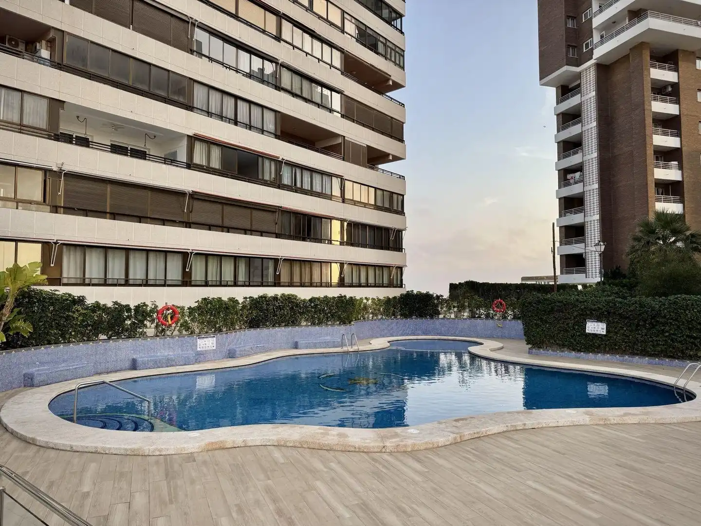 Swimming pool of Apartments for rent in Benidorm  with Air Conditioner, Furnished and Community pool