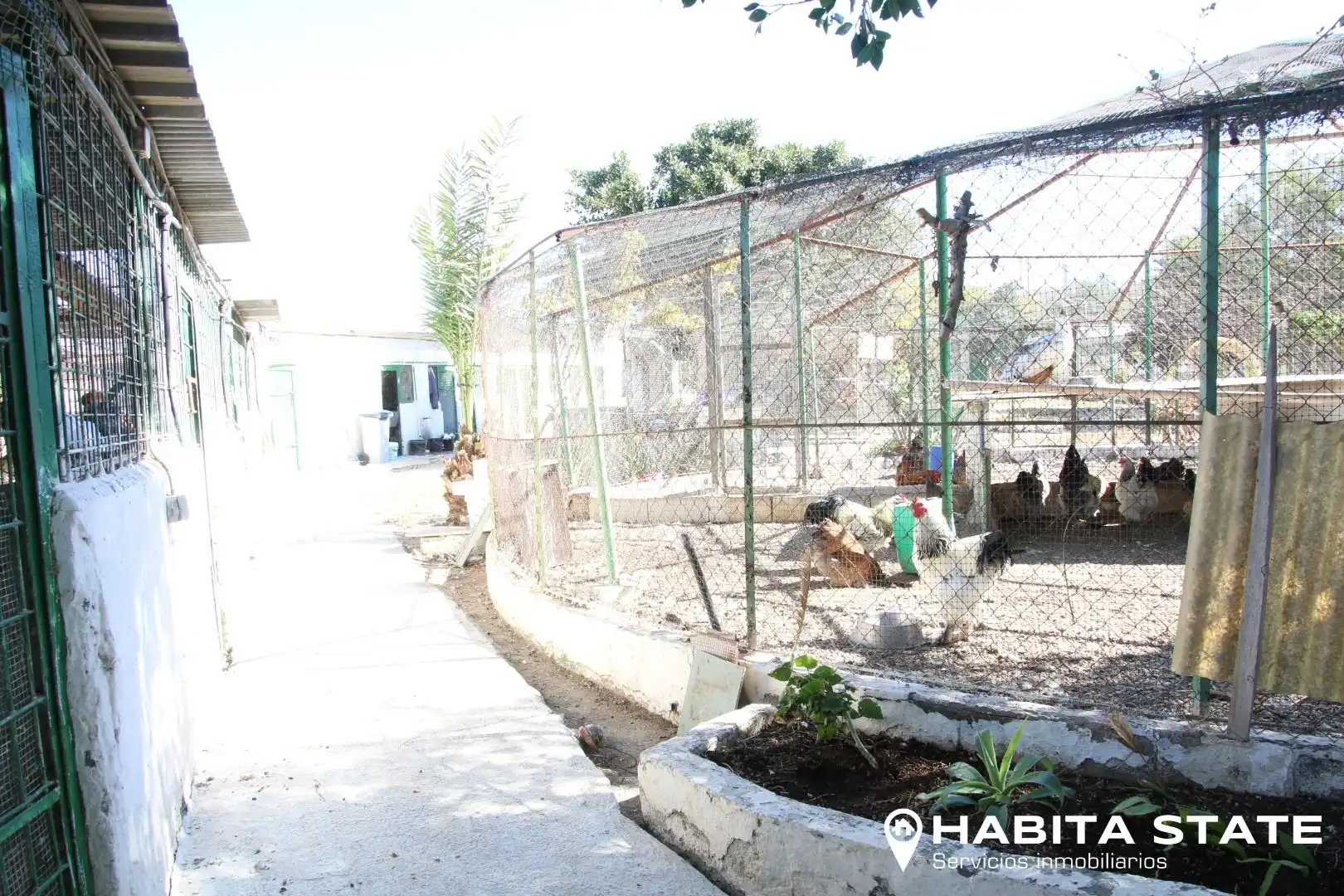 Garden of Residential for sale in Pechina
