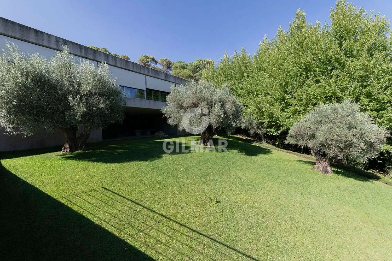 Jardín de Casa o chalet en venta en Cebreros con Piscina