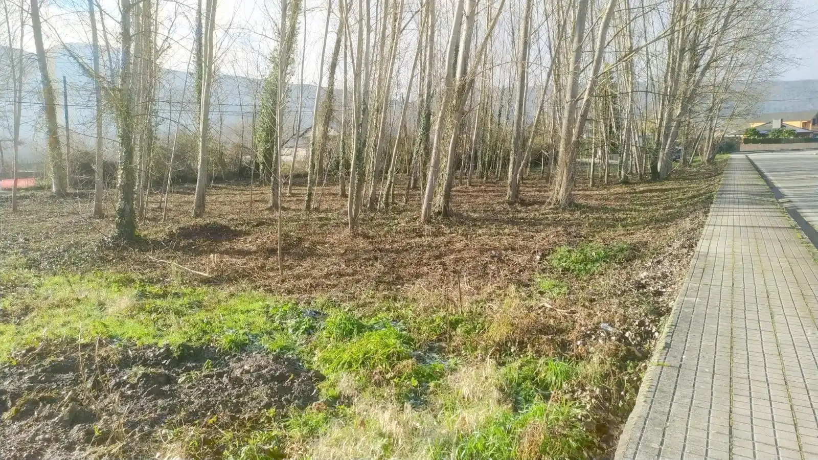 Terreni e lotti in vendita a Flores de Sil - La Placa, imagen 7