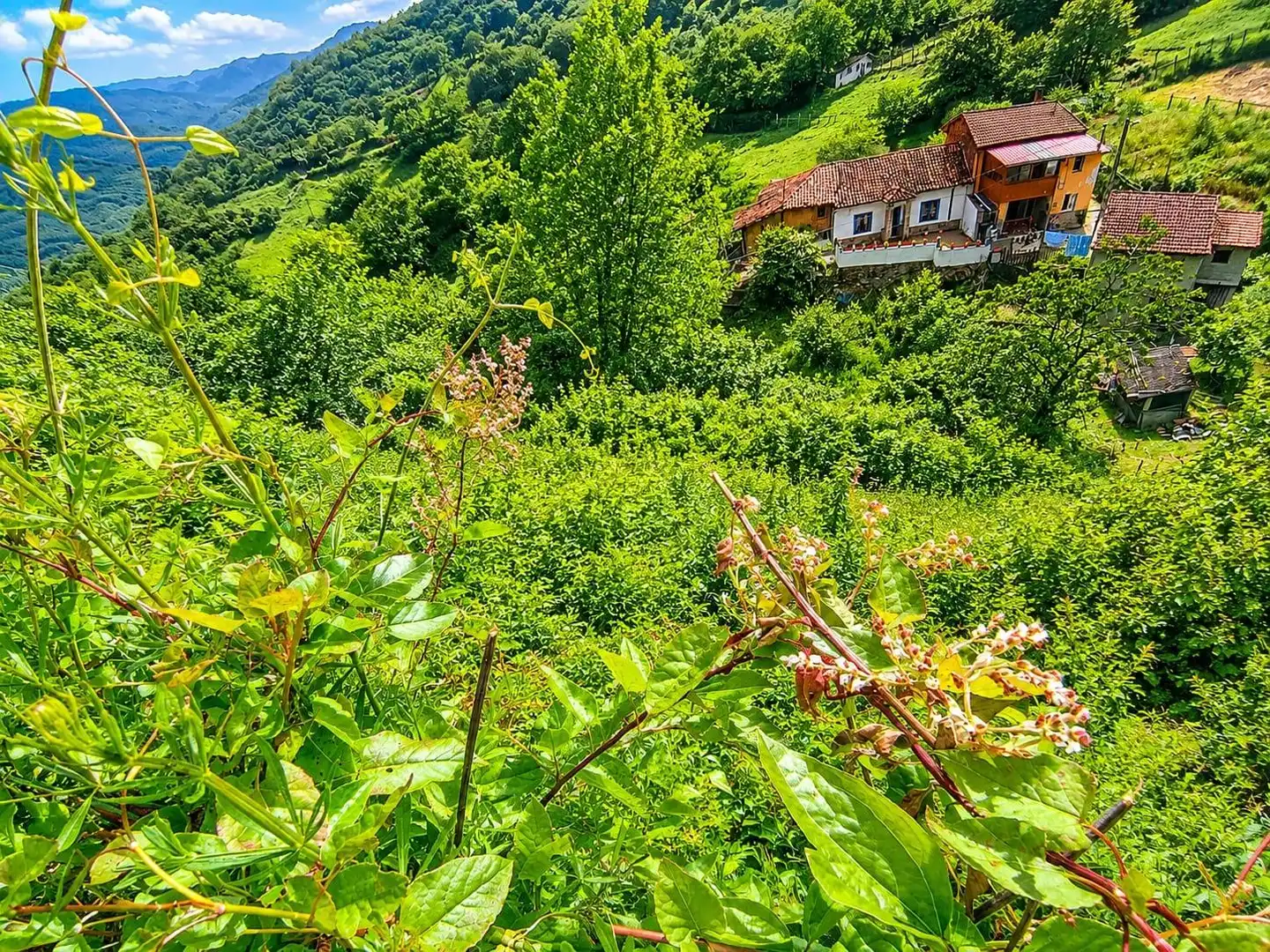 Casa o xalet en venda en Lena