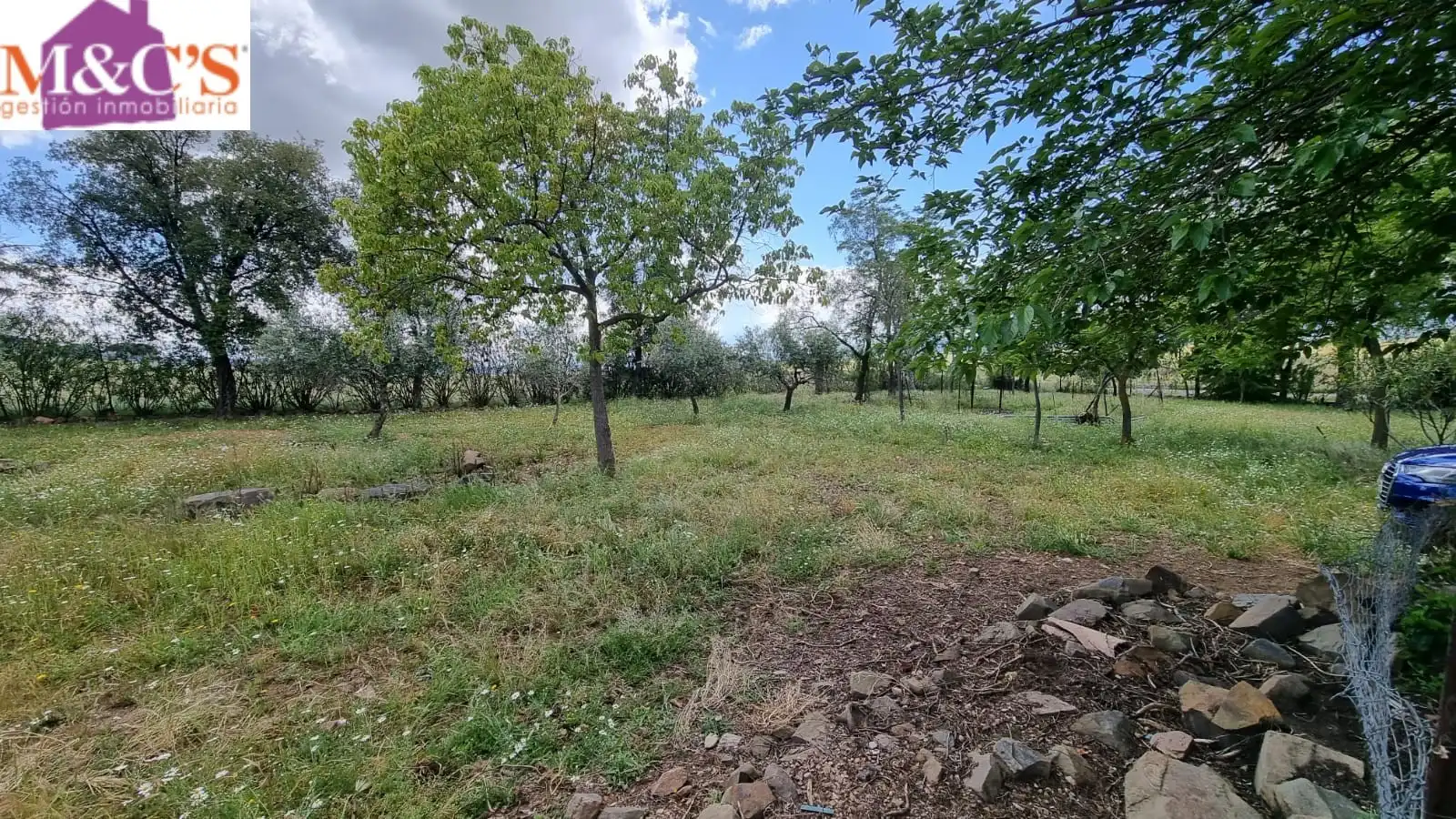 Xalet amb jardí en venda a Cabezarrubias del Puerto, imagen 6