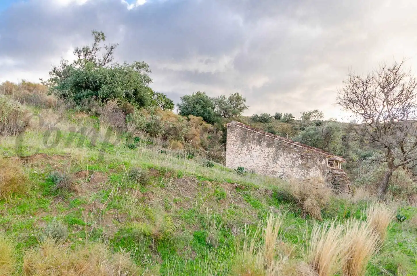 Terreno rustico in vendita a Salares, imagen 6