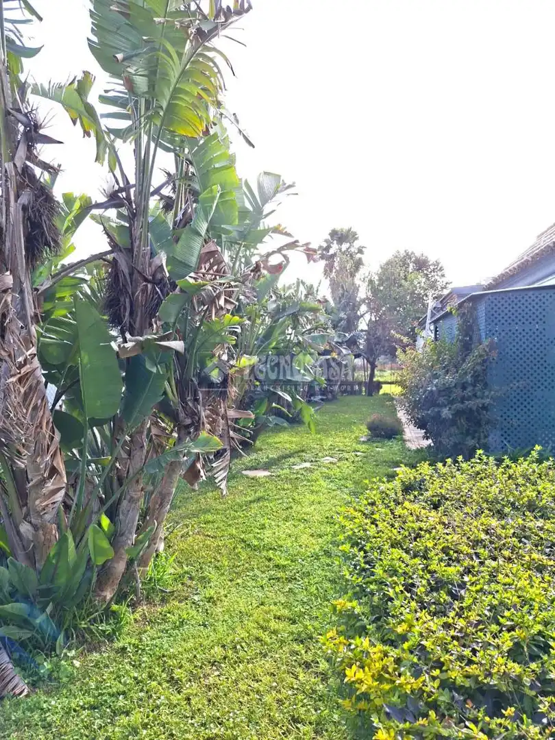 Finca rústica en venda en Coria del Río