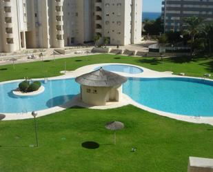 Swimming pool of Flat for sale in El Campello  with Terrace, Swimming Pool and Balcony