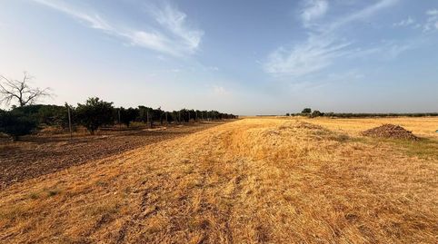 FINCA RÚSTICA CON PISCINA Y POZO LEGAL EN LA FUENCUBIERTA LA CARLOTA, imagen 2