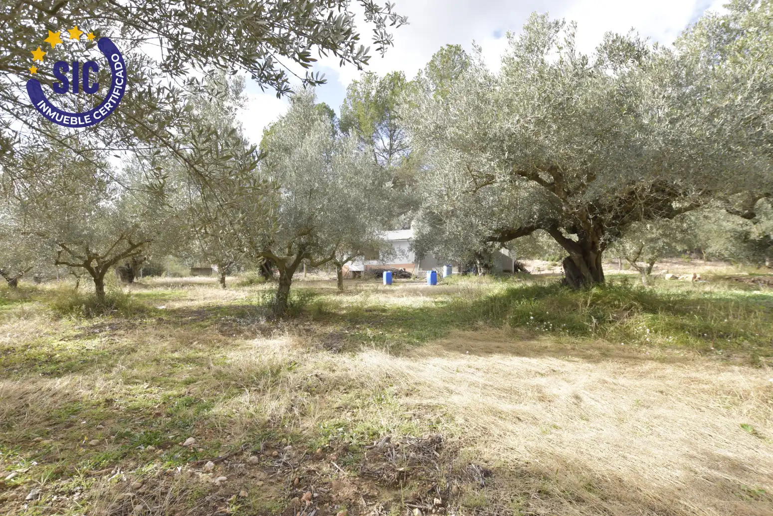 Land for sale in Jérica