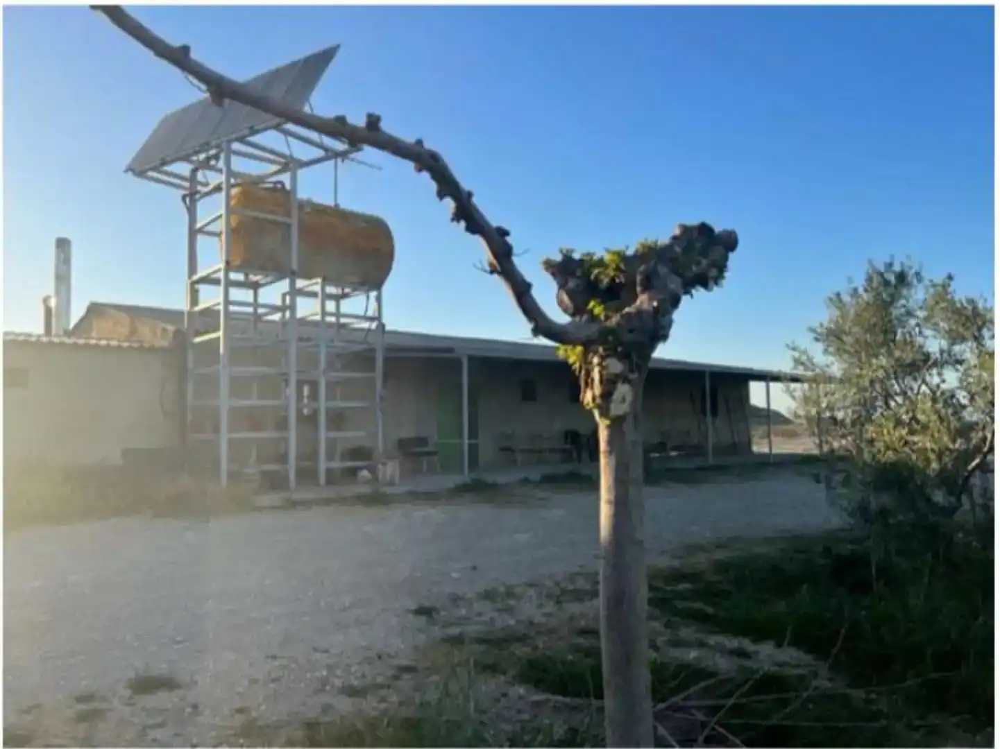 Vista exterior de Terreno en venta en Senés de Alcubierre
