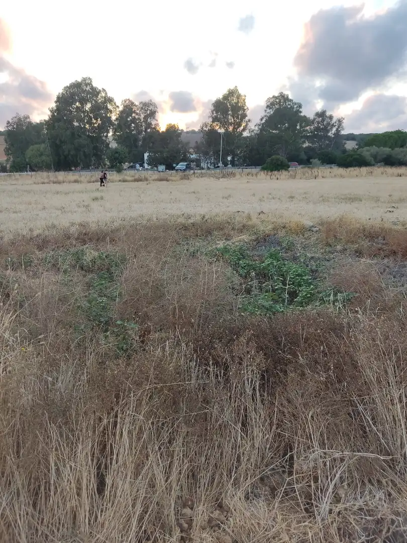 Land for sale in Vejer de la Frontera