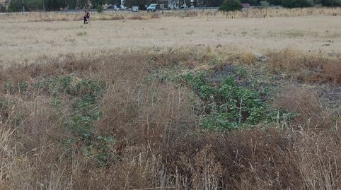 Photo 4 of Land for sale in Vejer, Vejer de la Frontera