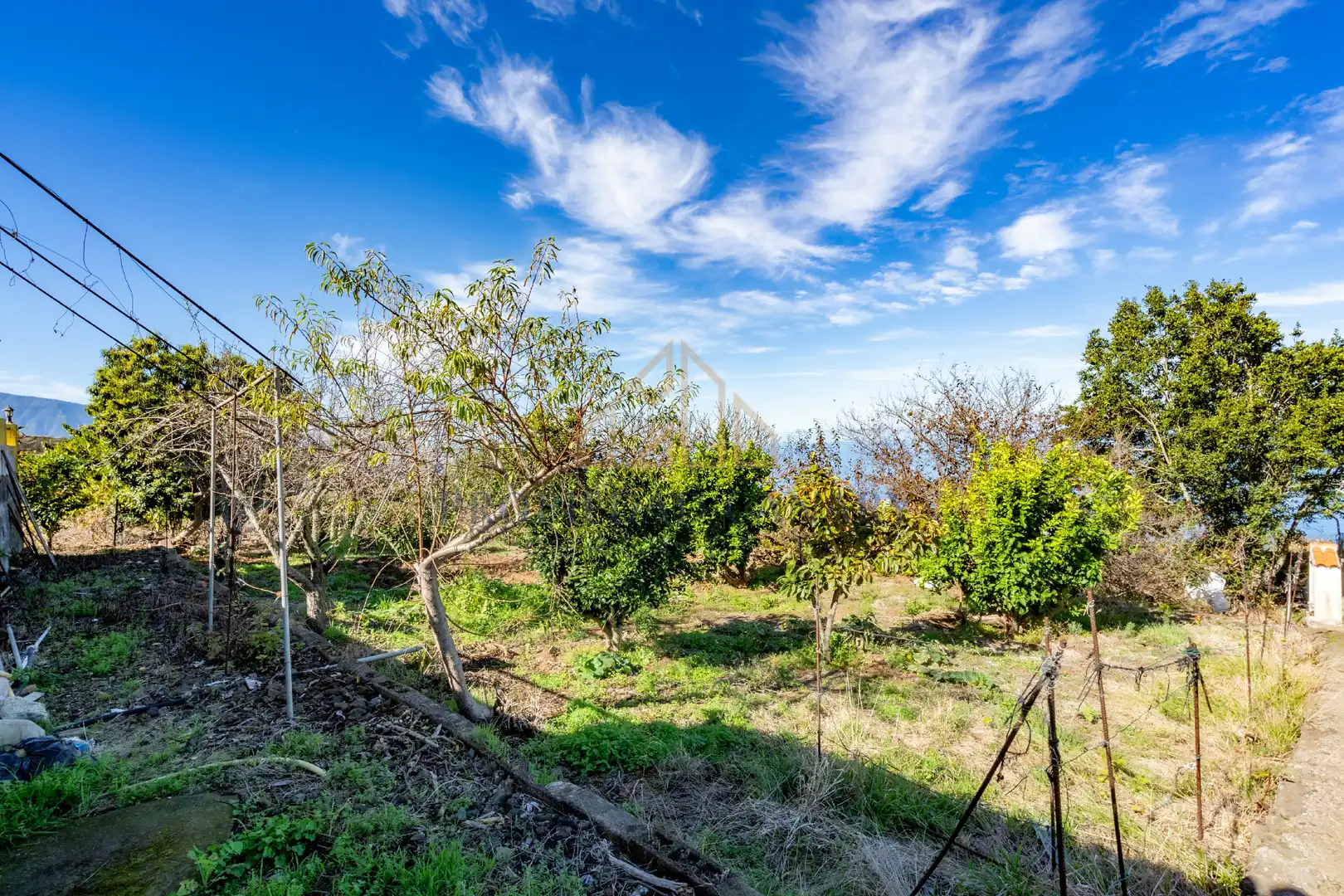 Finca rústica en venda en Santa Úrsula amb Terrassa