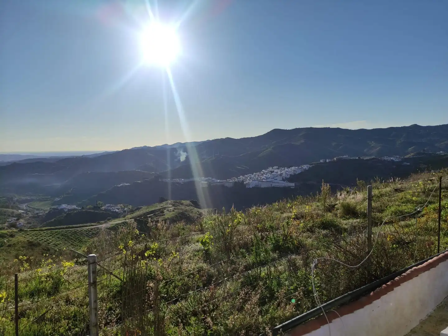 Vista exterior de Finca rústica en venta en Cútar con Jardín privado, Terraza y Piscina