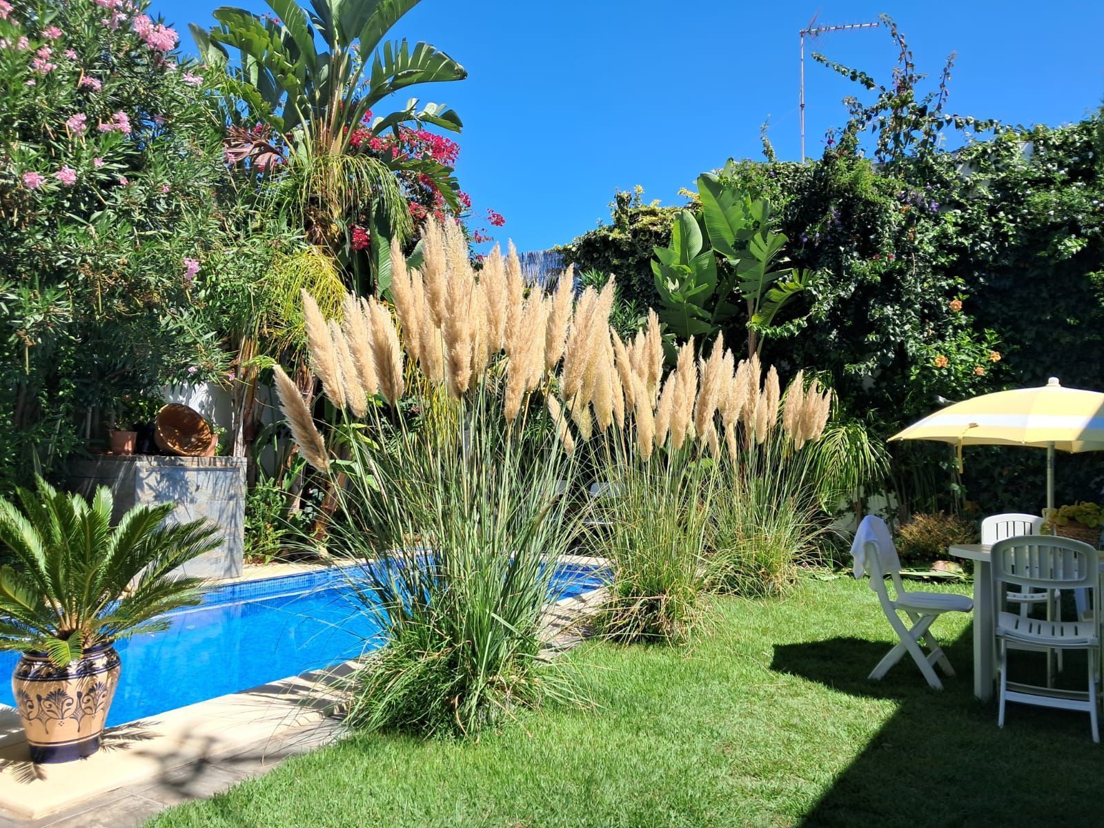 Garden of House or chalet for sale in Chipiona  with Air Conditioner, Private garden and Terrace