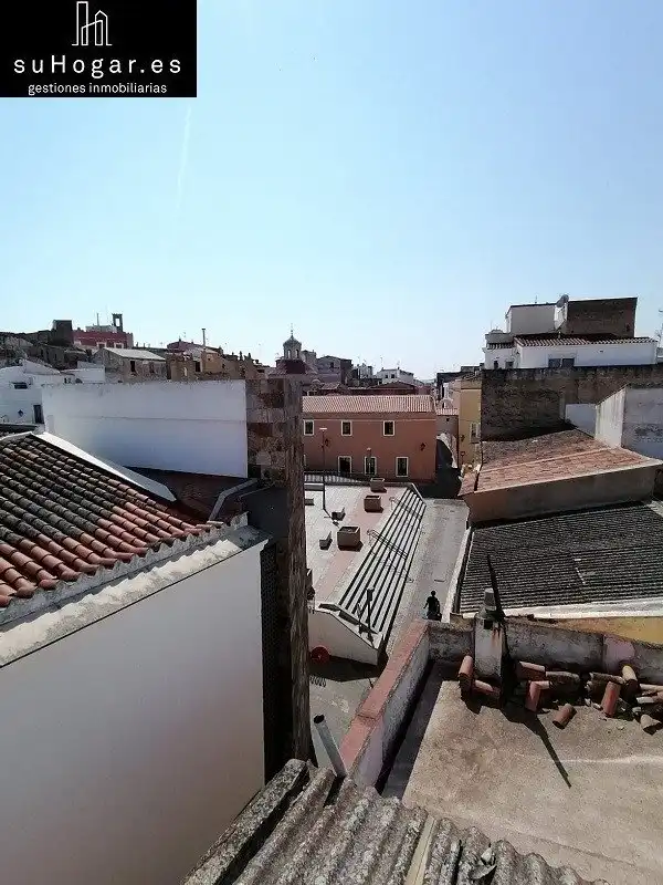 Wohnungen zur Miete in Casco Antiguo