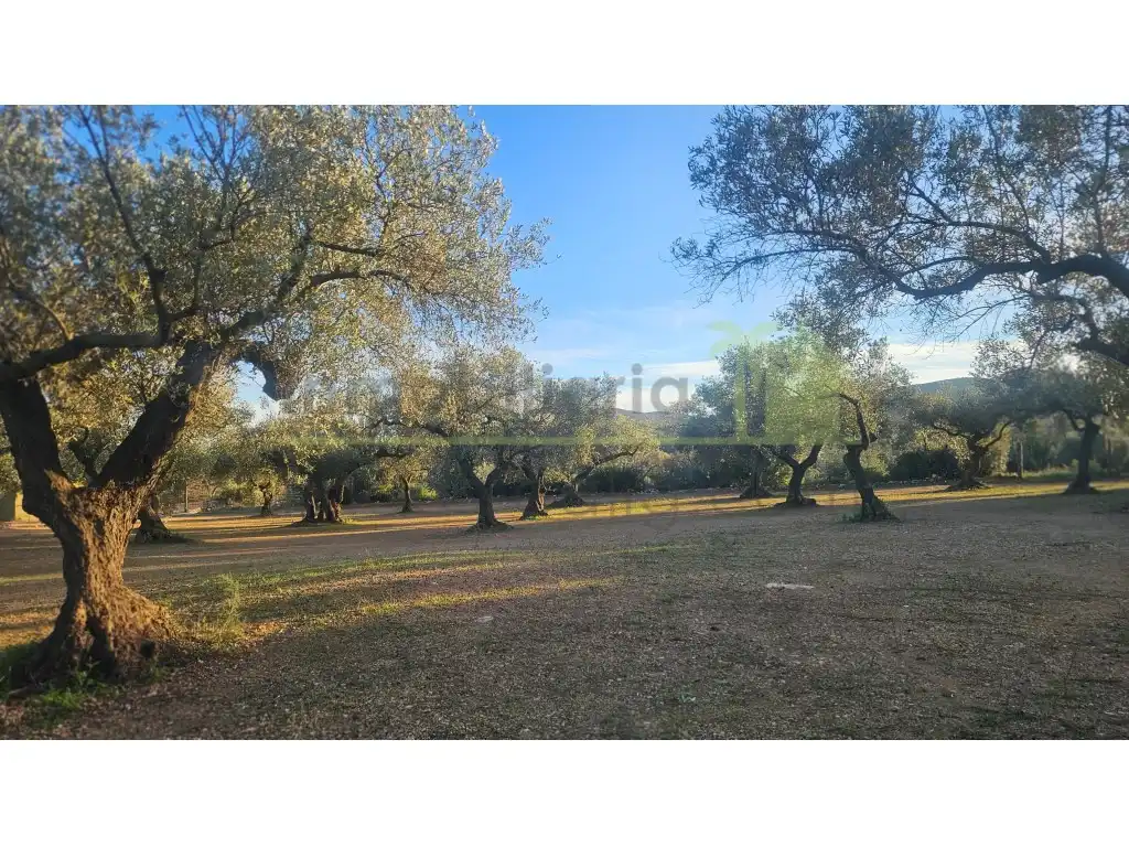 Finca rústica en venta en Canet lo Roig con Jardín privado