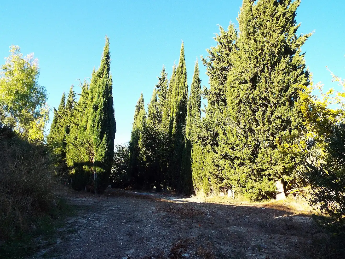 Casa rústica en venda a Abanilla, imagen 15