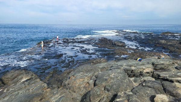 Swimming pool of Country house for sale in Arucas