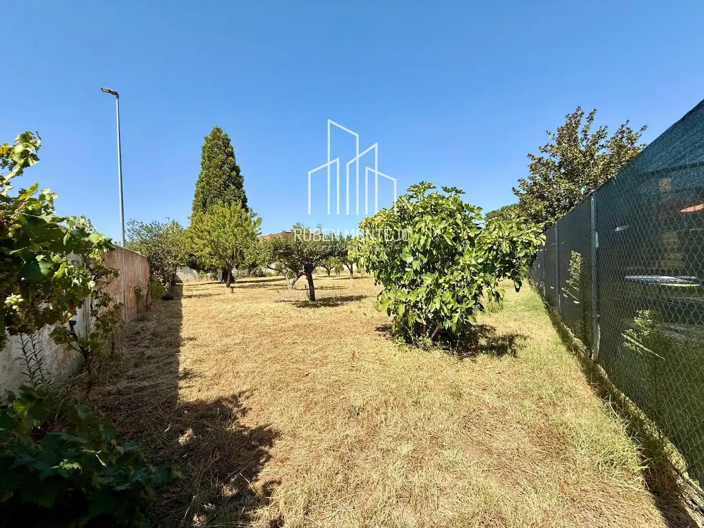 Rural land for sale in Cañaveral, imagen 3