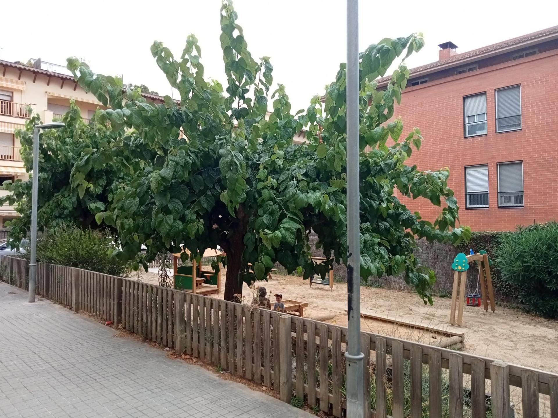 Vista exterior de Planta baixa de lloguer en Vilassar de Dalt amb Aire condicionat i Alarma
