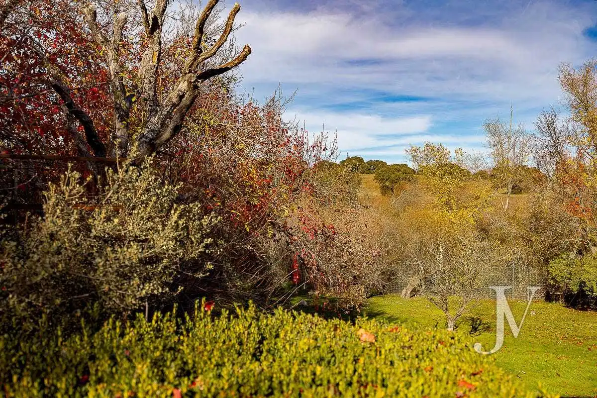 Jardín de Casa o chalet en venta en Ciudalcampo con Aire acondicionado, Calefacción y Jardín privado