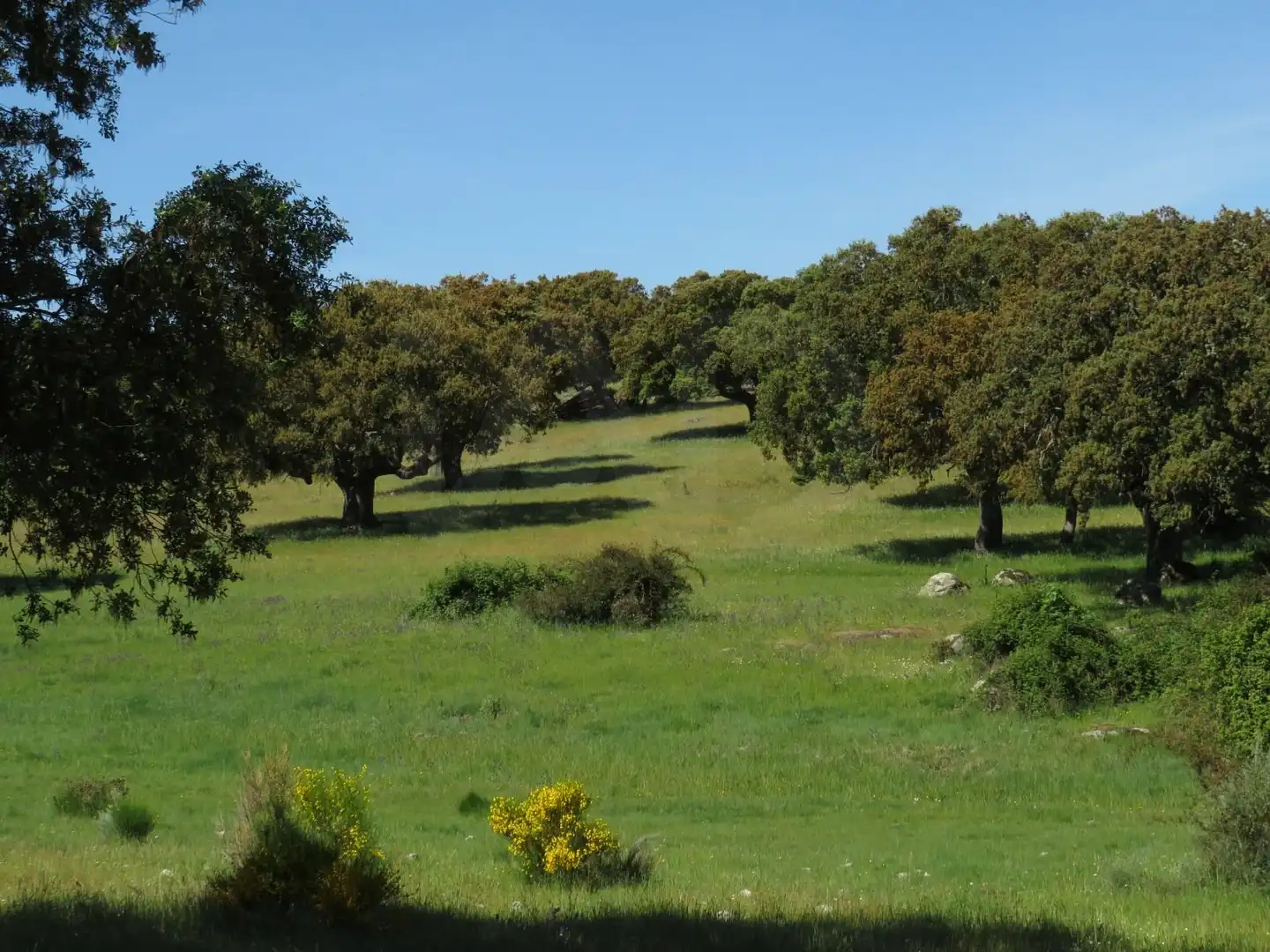 Grundstücke und Bauplätze zum Verkauf in Ledesma, imagen 9