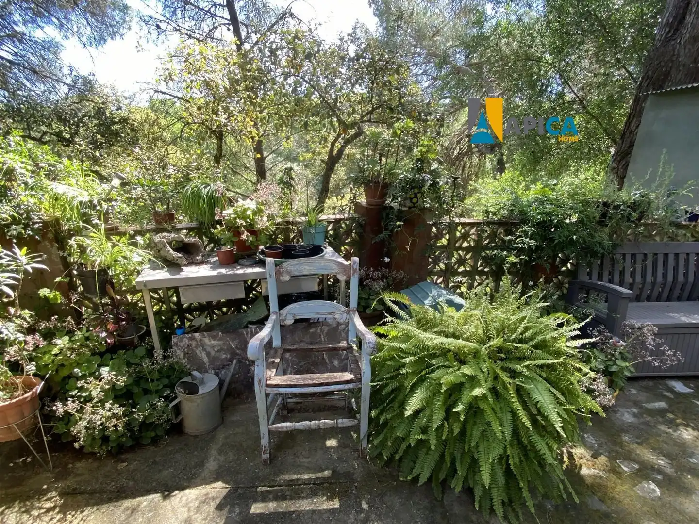 Rural land for sale in Castellar de la Frontera, imagen 25