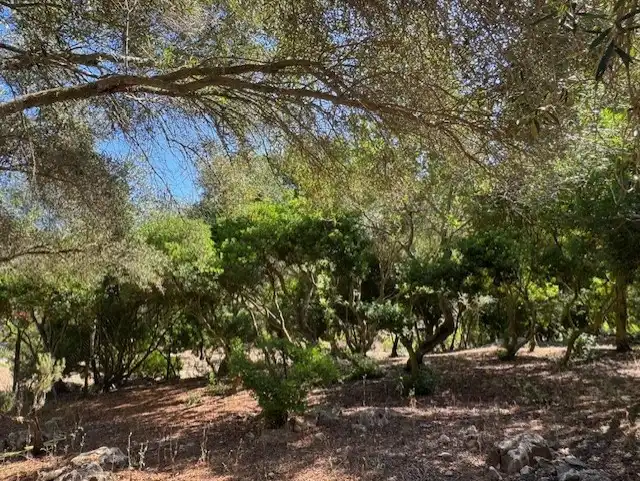 Country homes for sale in Manacor  with Air Conditioner, Private garden and Terrace
