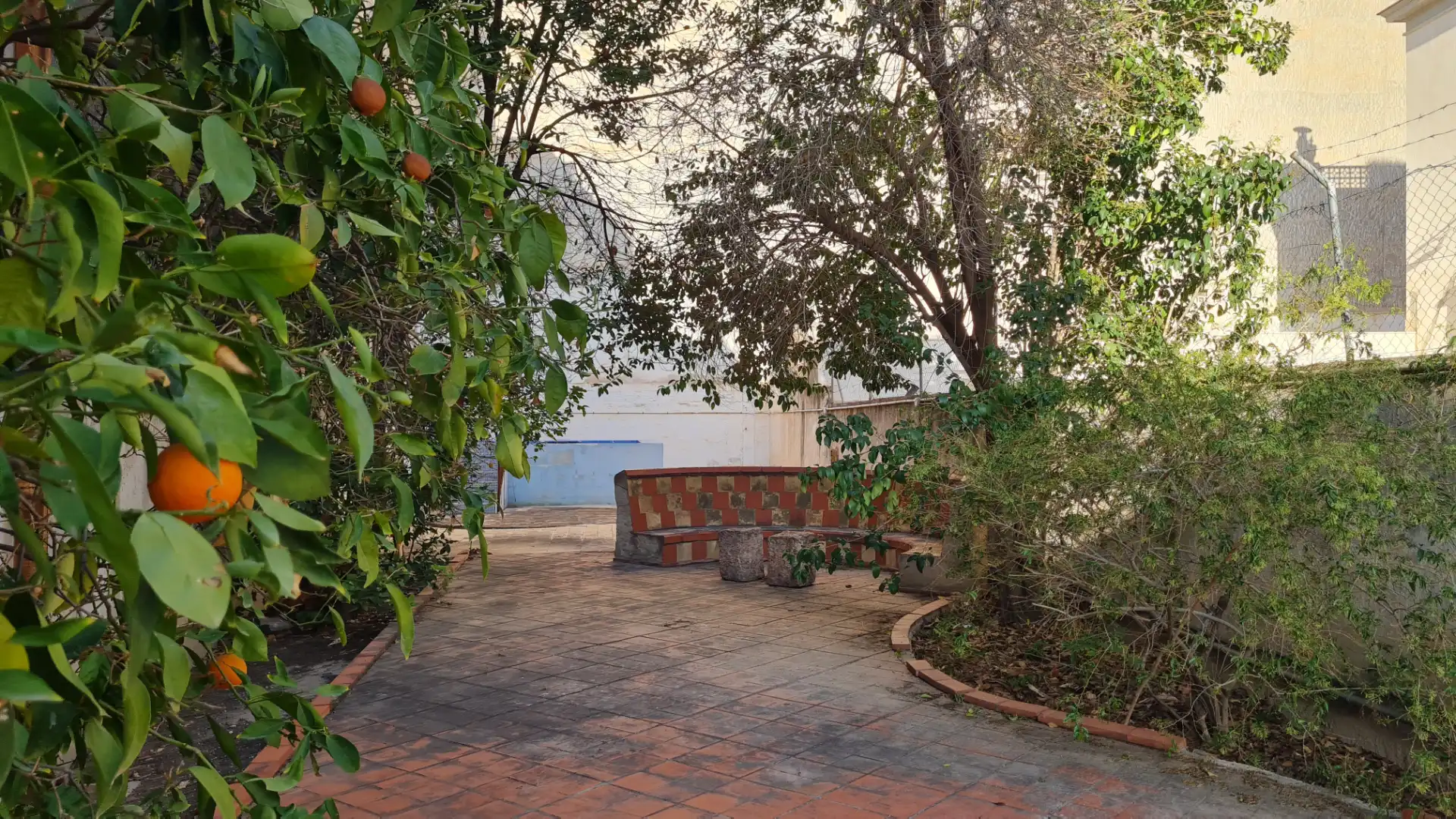 Garden of Buildings for sale in Aspe  with Community pool