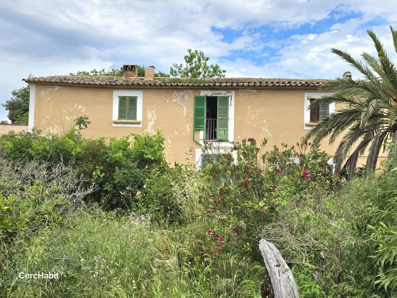 Exterior view of Houses for sale in  Palma de Mallorca  with Private garden and Terrace