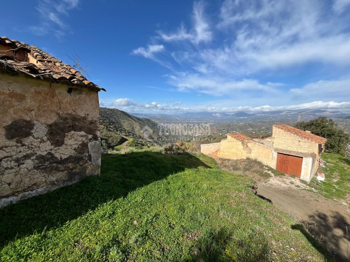 Land for sale in Sedella