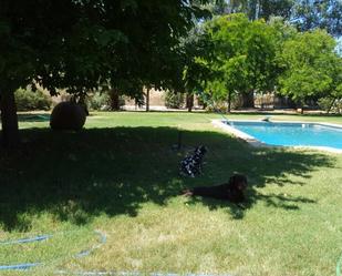 Swimming pool of Country house for sale in Aracena  with Air Conditioner, Private garden and Parquet flooring