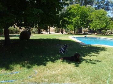 Maison rustique avec piscine à vendre à Aracena